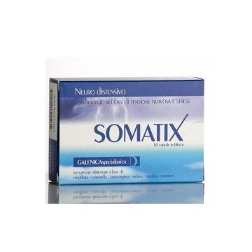 SOMATIX CAPSULE 30CPS 15G